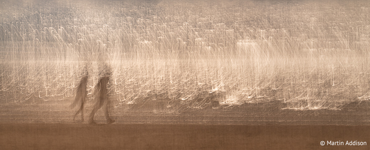 10Martin Addison2.jpg